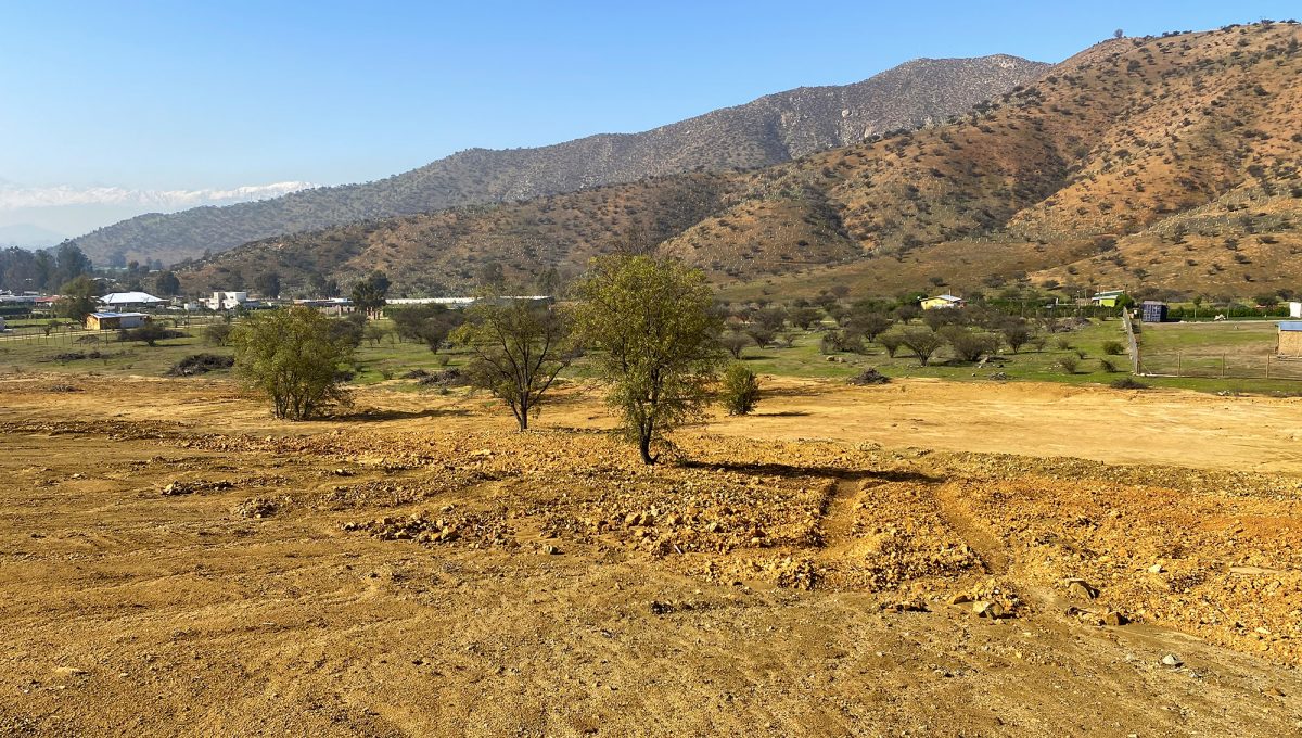 IMG_0555-copia-1200x680