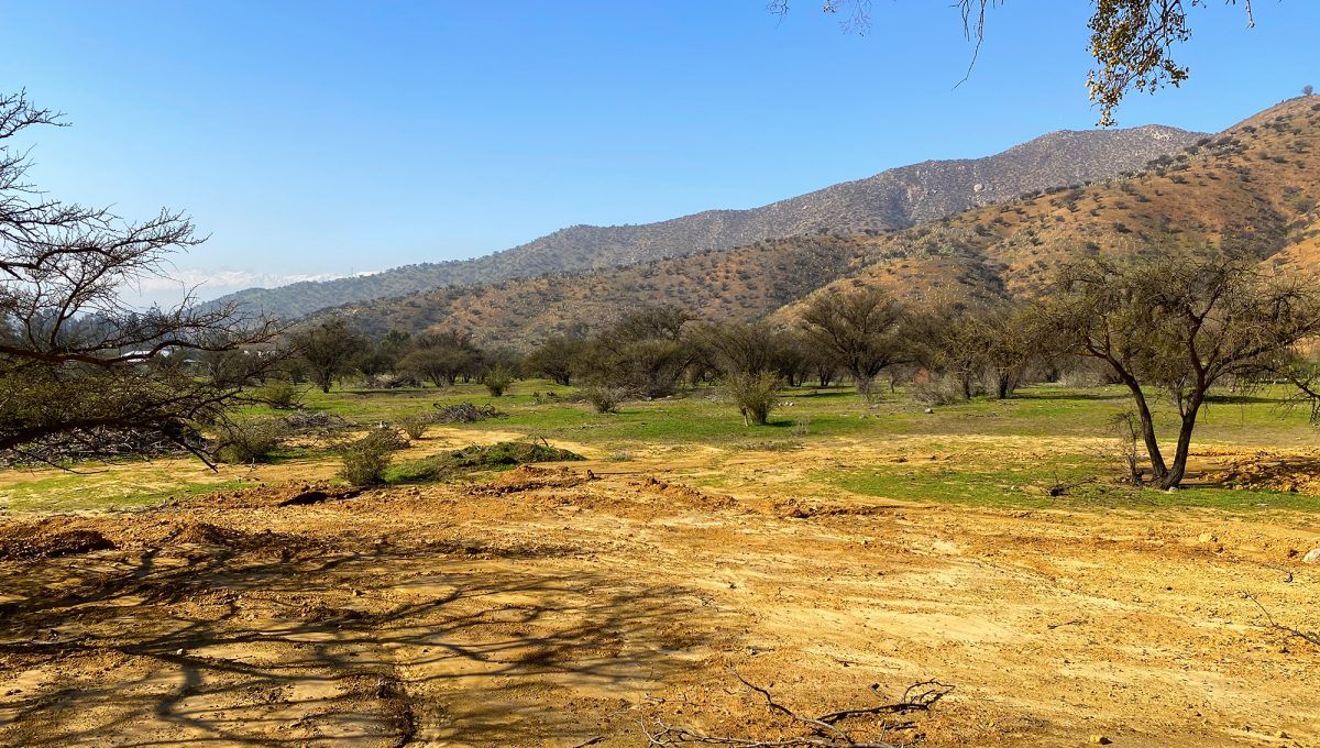 IMG_0562-copia-1200x680