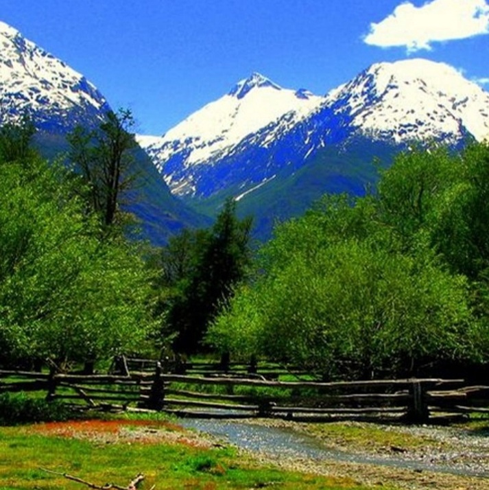 Screenshot_20210811-014850_Gallery