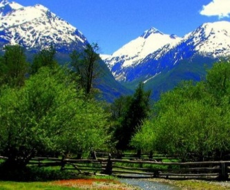 Screenshot_20210811-020310_Gallery