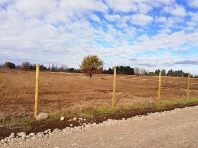 Screenshot_20210811-230740_Chrome