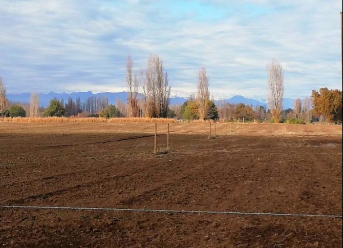 Screenshot_20210811-230913_Chrome