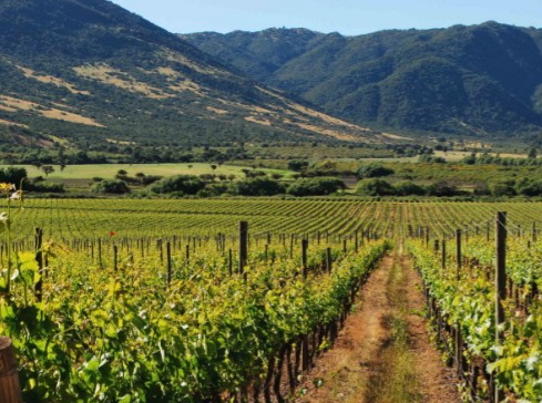 valle_de_colchagua